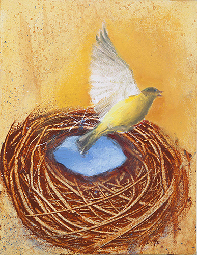 Birds Nest I